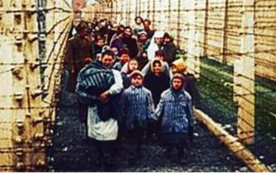 Auschwitz Untold – In Colour
