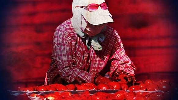 Blood on the Shelves