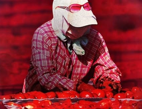 Blood on the Shelves